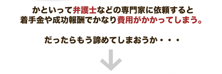 かといって弁護士などの専門家に依頼すると着手金や成功報酬でかなり費用がかかってしまう。だったらもう諦めてしまおうか・・・